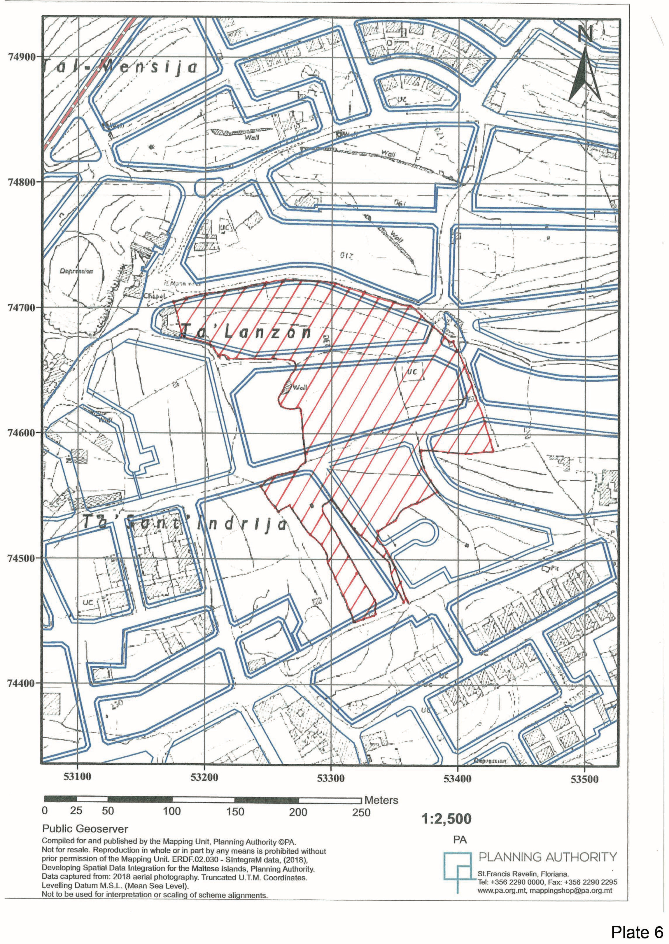Plate 6
