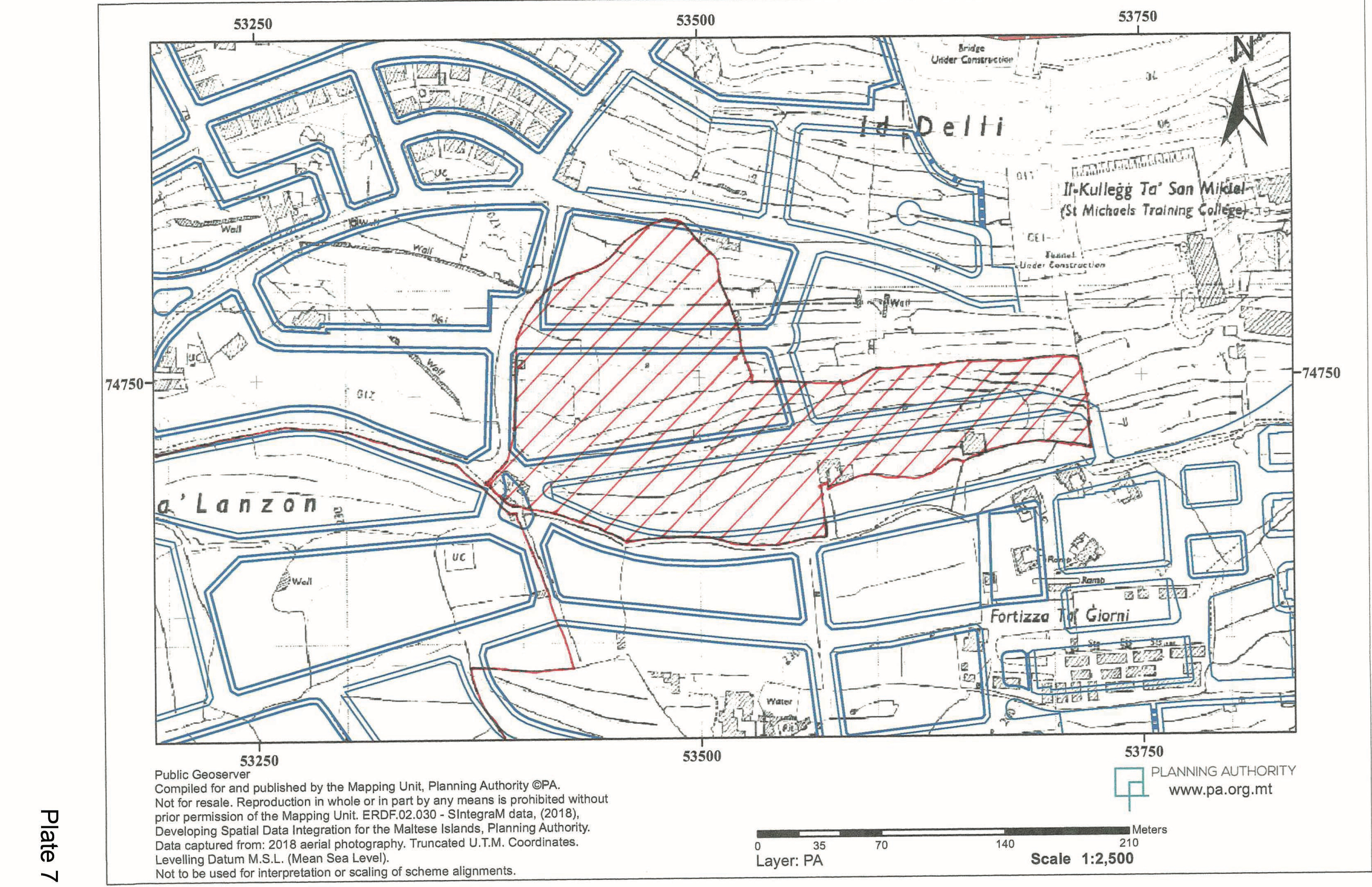 Plate 7